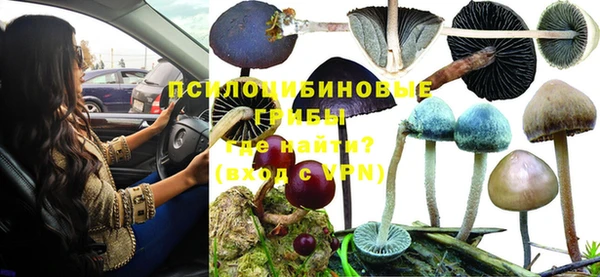 прущие грибы Алексин
