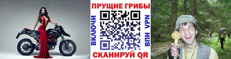 Галлюциногенные грибы мухоморы  Александровское 